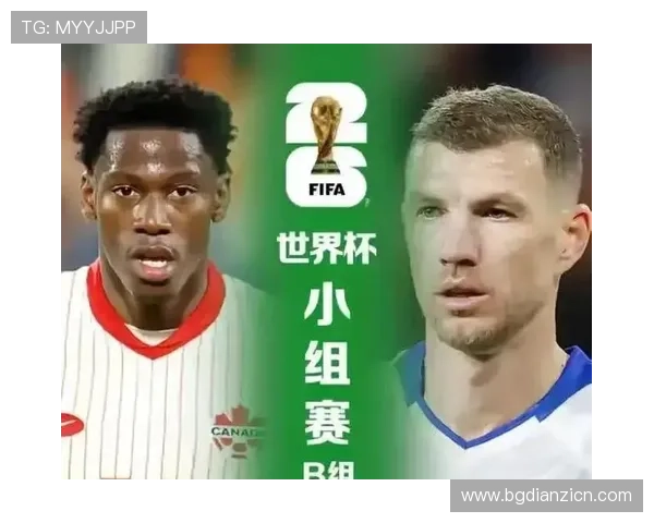 加拿大对波黑世界杯门票购买流程全解析：提前准备确保顺利入场的实用技巧